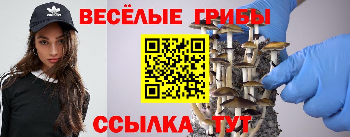 Татарск  Псилоцибиновые грибы мухоморы  Вход с VPN  Галлюциногенные грибы MAGIC MUSHROOMS 