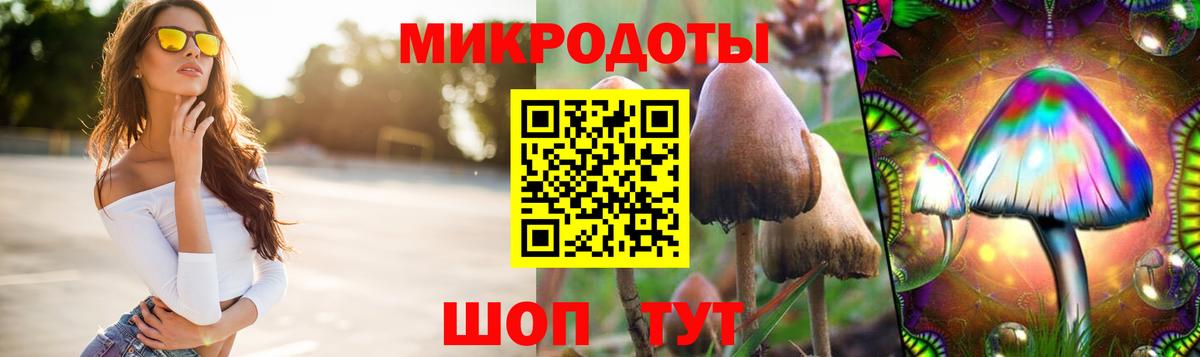 Псилоцибиновые грибы Cubensis Татарск